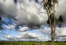 开云体育在线-金杯映泪光：当终场哨响，胜者狂欢与败者沉默的48小时