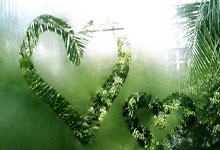 开云下载-卡尔蒂斯球迷现场助威，球队士气高涨