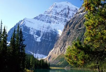 开云体育-帕尔梅拉斯迎战蒙特雷，防守反击或成致胜关键