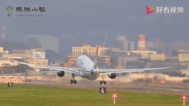 关于非洲选手斩获金牌，实力不可小觑的信息