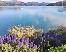 开云体育app-甘冈将挑战瓦朗谢纳，胜负尚未决定的简单介绍