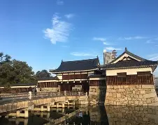 开云体育平台APP-广岛三箭备战认真备战次回合