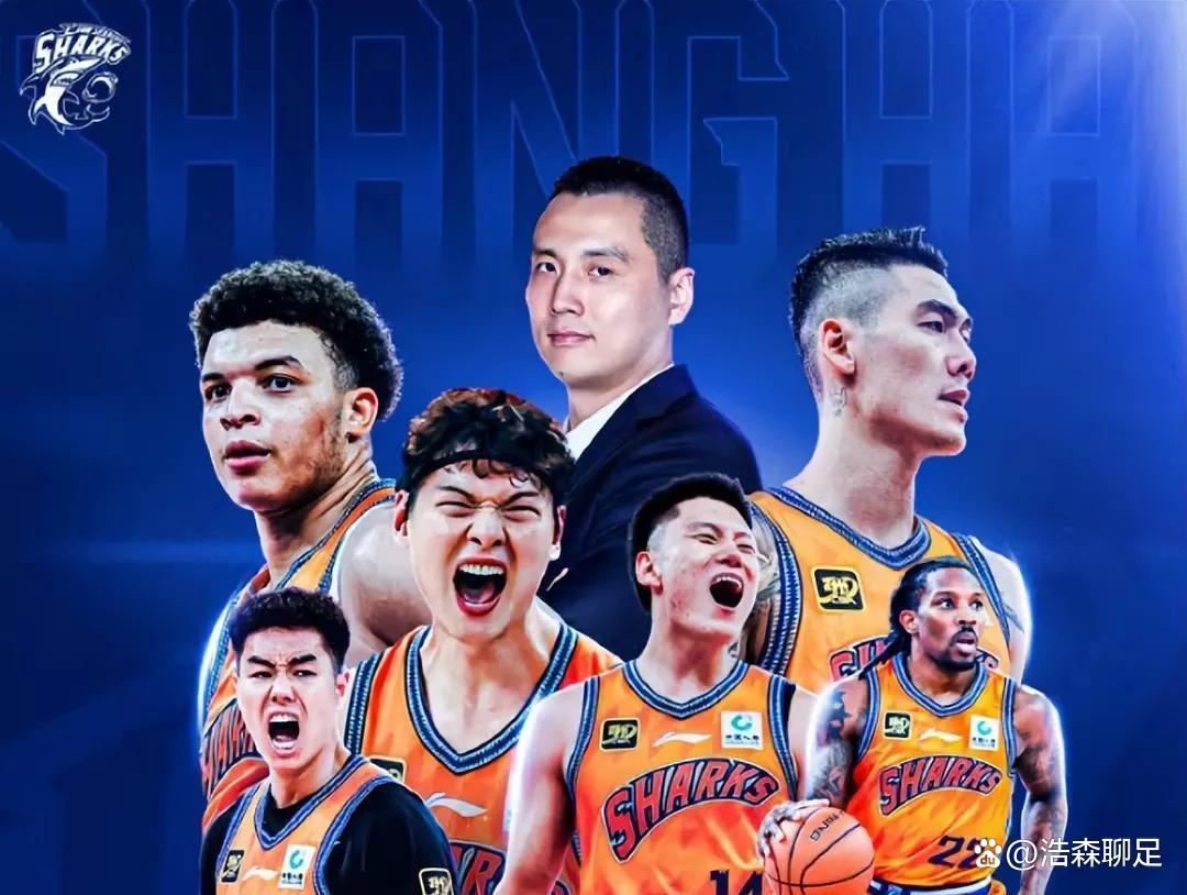 国内顶级球队迎战外援大军，谁能笑到最后？的简单介绍