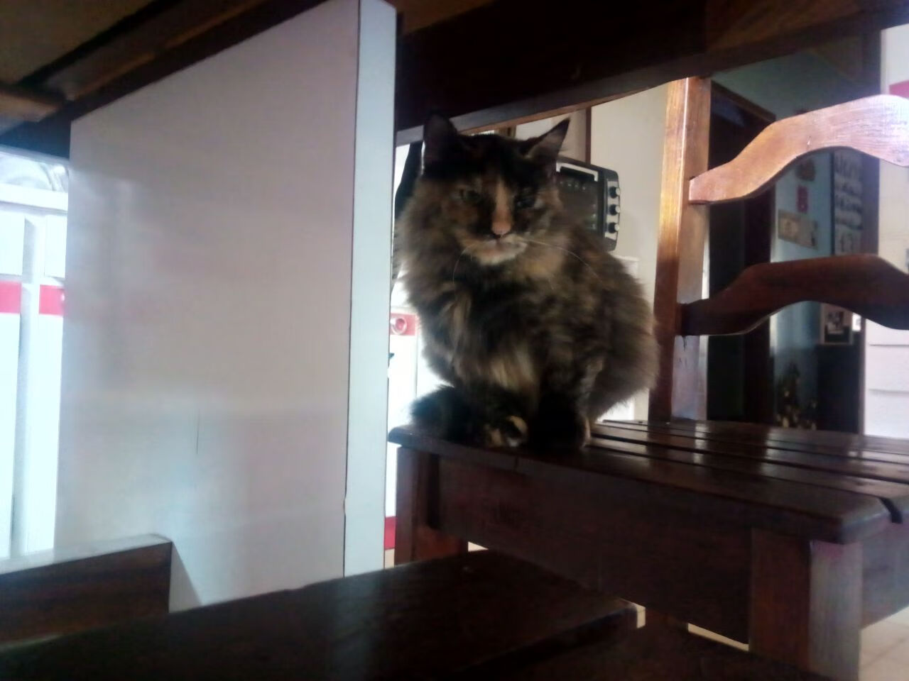 封神之夜，福克斯抢七狂飙50分，奇才客场完胜骑士晋级东决