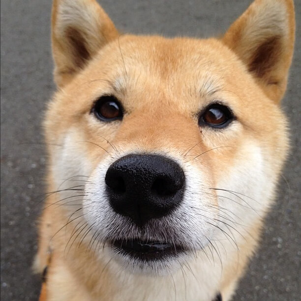 开云体育登录-铁蹄焚城！尼克斯踏平南海岸，德罗赞孤胆封神赛后评分拉满