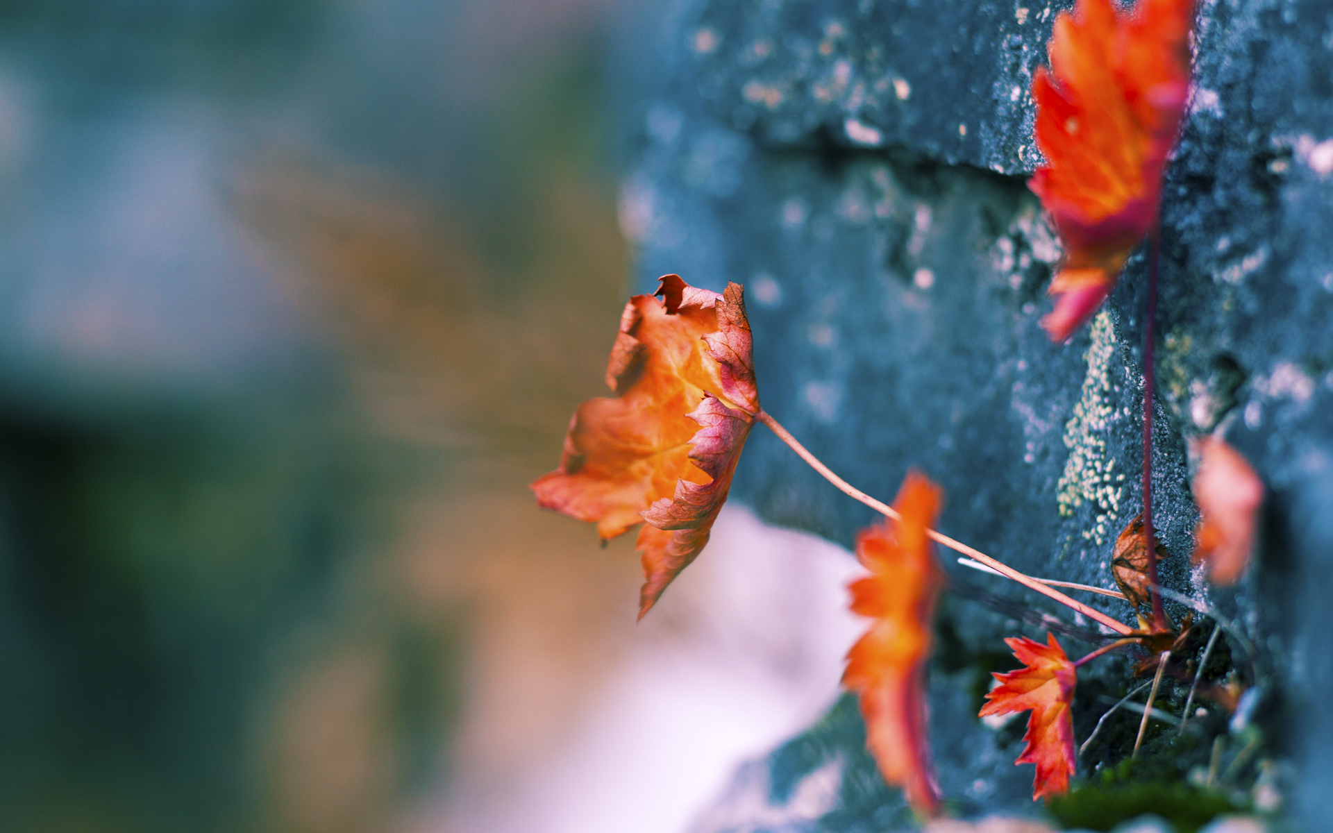 铁蹄焚城!尼克斯踏平南海岸,德罗赞孤胆封神赛后评分拉满