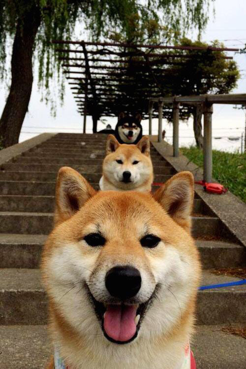 开云体育app-F1新赛季揭幕战之夜，迪亚斯状态火热，点燃速度与激情