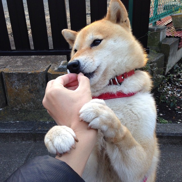 哈登冠军之心觉醒!跨越大洋的试炼,浙江队见证传奇之夜的诞生