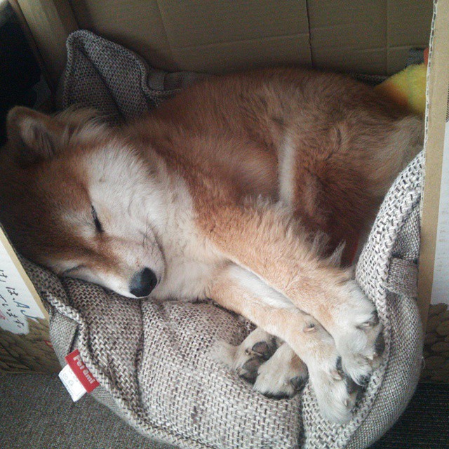 开云体育在线-莱奥双响如利剑出鞘，巴黎主场疾风骤雨击溃尤文