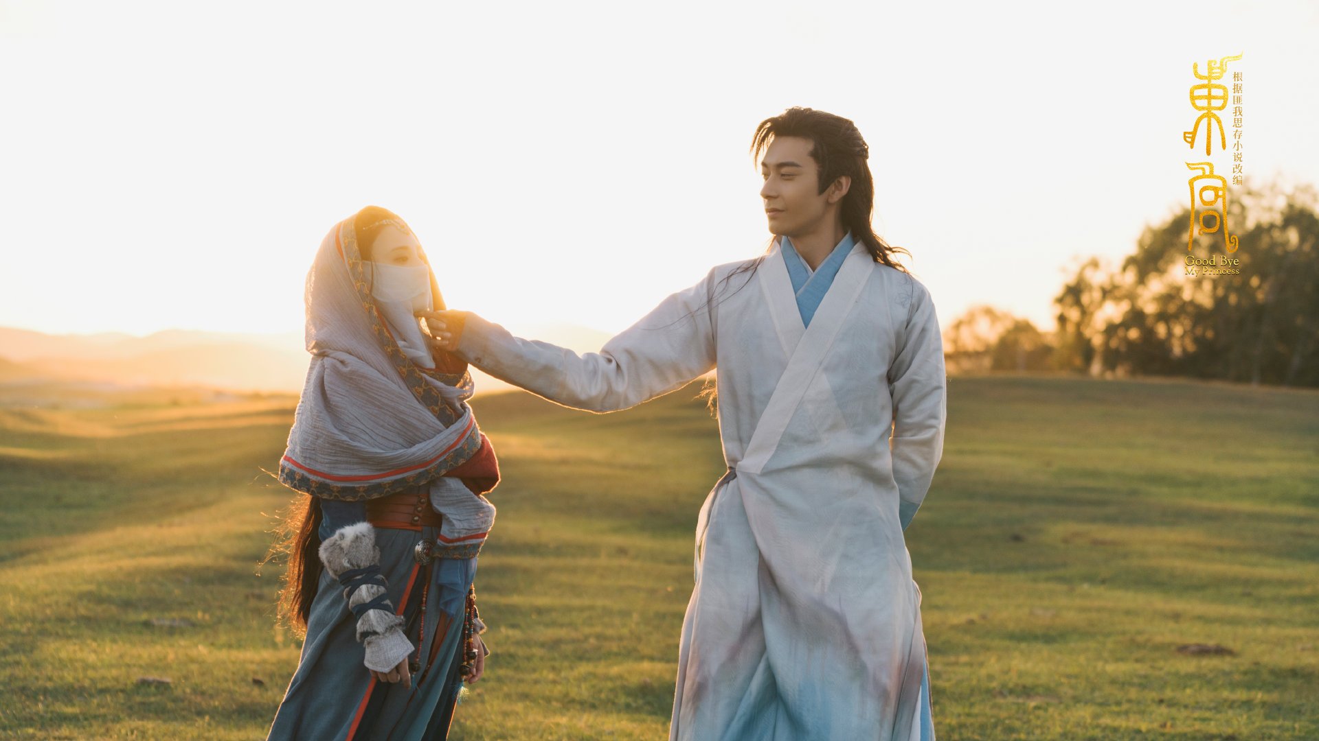 开云官网-范戴克制胜一击，阿根廷与爱尔兰的梦幻对决