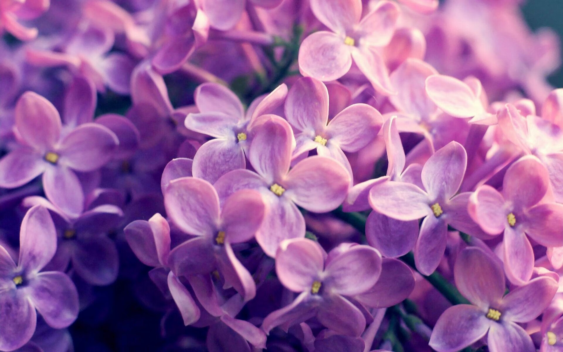 开云体育登录-生死战掘金险胜活塞，保罗关键时刻定乾坤