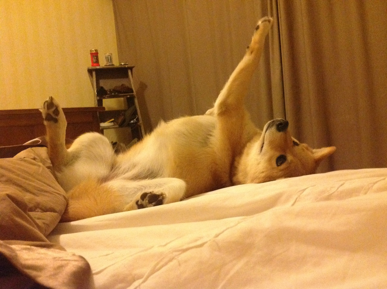 F1街道赛之夜，当雨幕中的霓虹为福克斯加冕