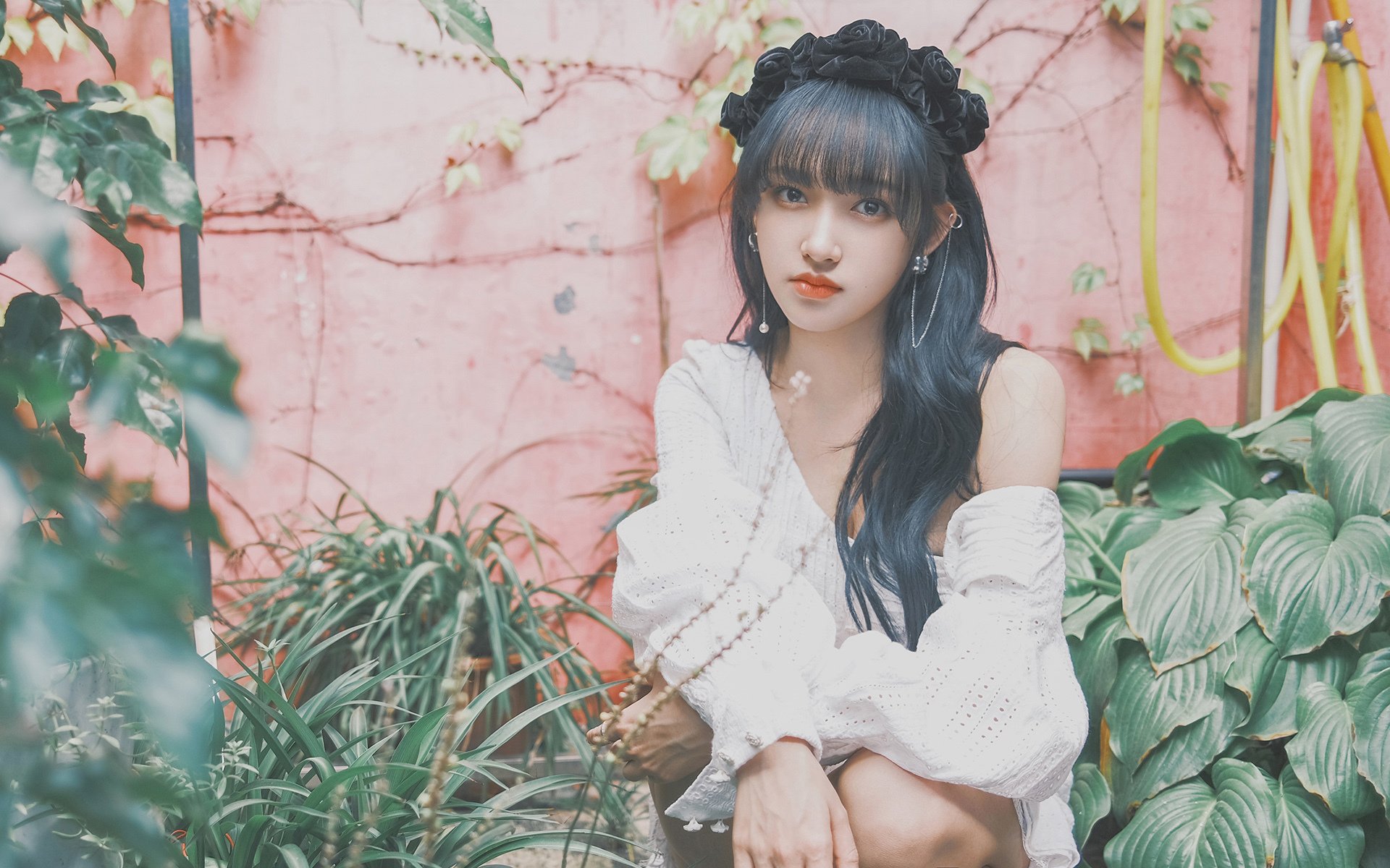 领袖之力，字母哥的冠军气场与国王的逆袭启示