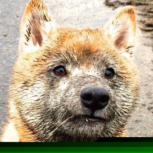 开云体育下载-莱比锡红牛闪电战速胜荷兰豪门，托尼一锤定音成关键先生