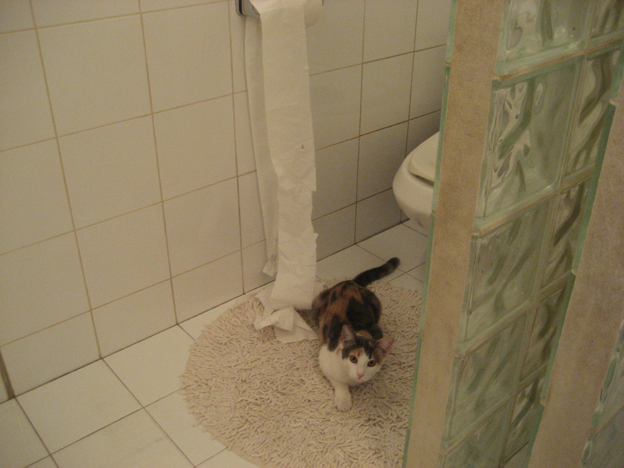 极限对轰！拉梅洛49分难救主，东方巨龙力压南海岸烈焰