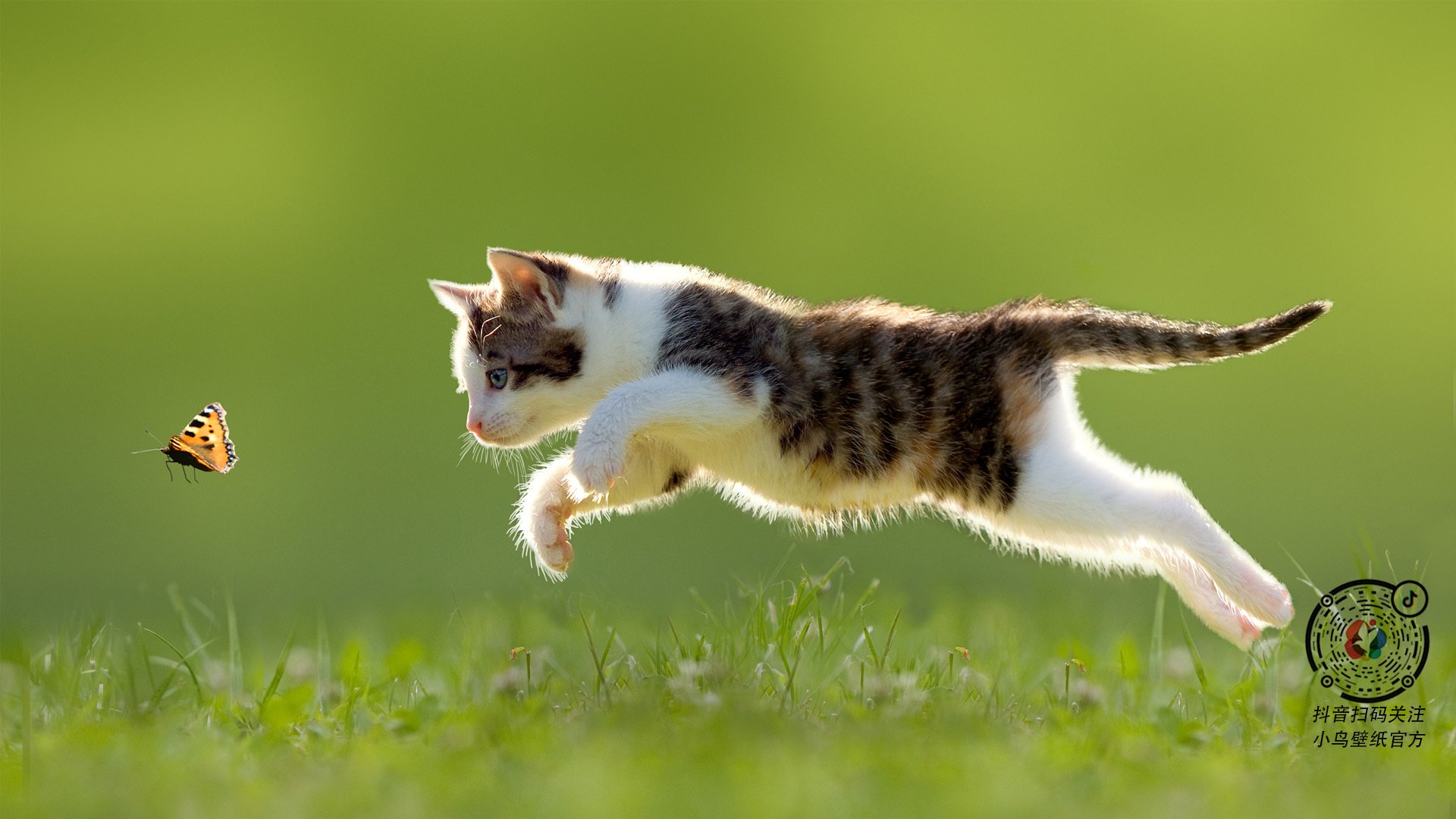 开云官网-阿克生涯之夜璀璨绽放，日本队力克墨西哥显霸气