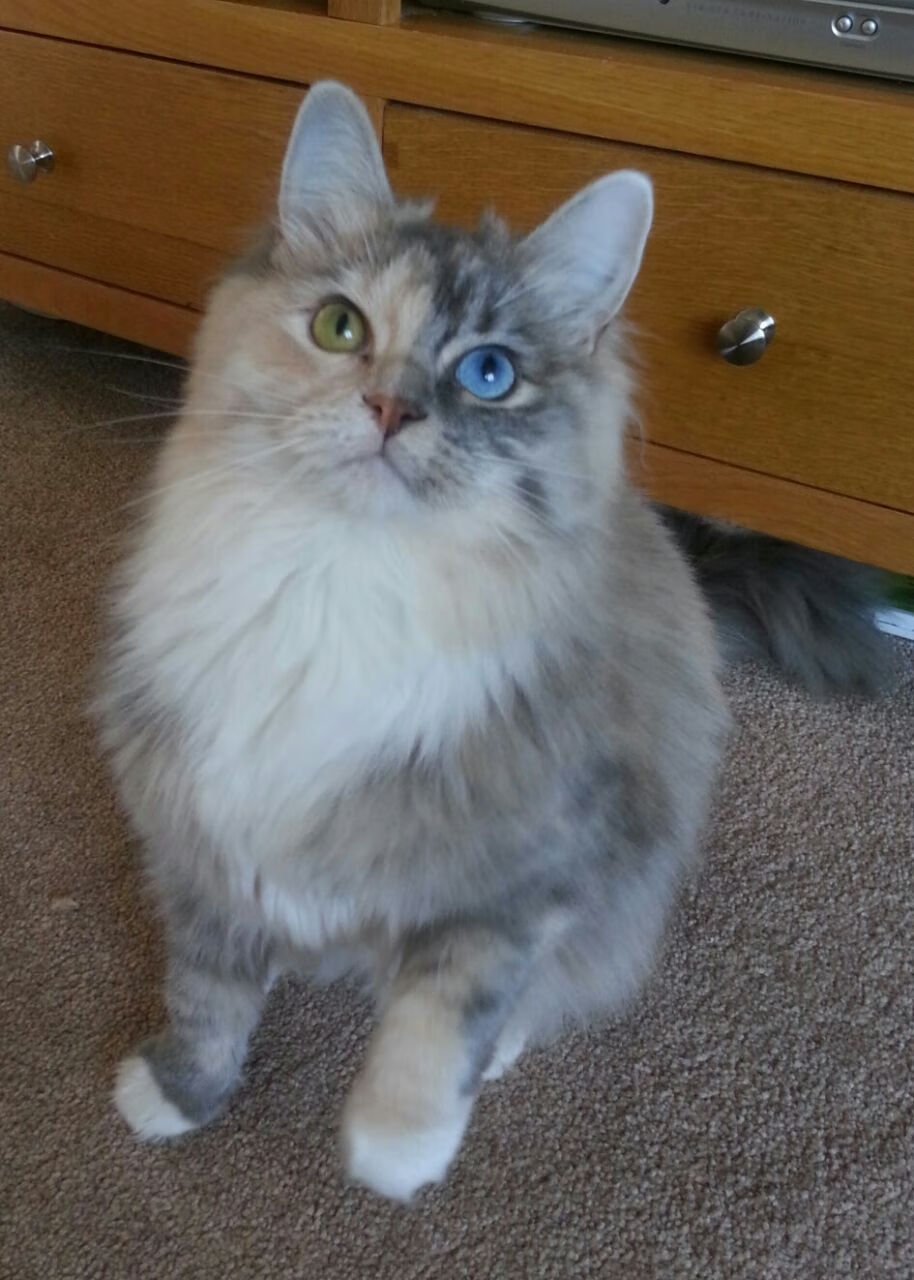 开云体育在线-新星闪耀！小贾伦统治攻防两端，开拓者窒息节奏浇灭黄蜂反击火焰