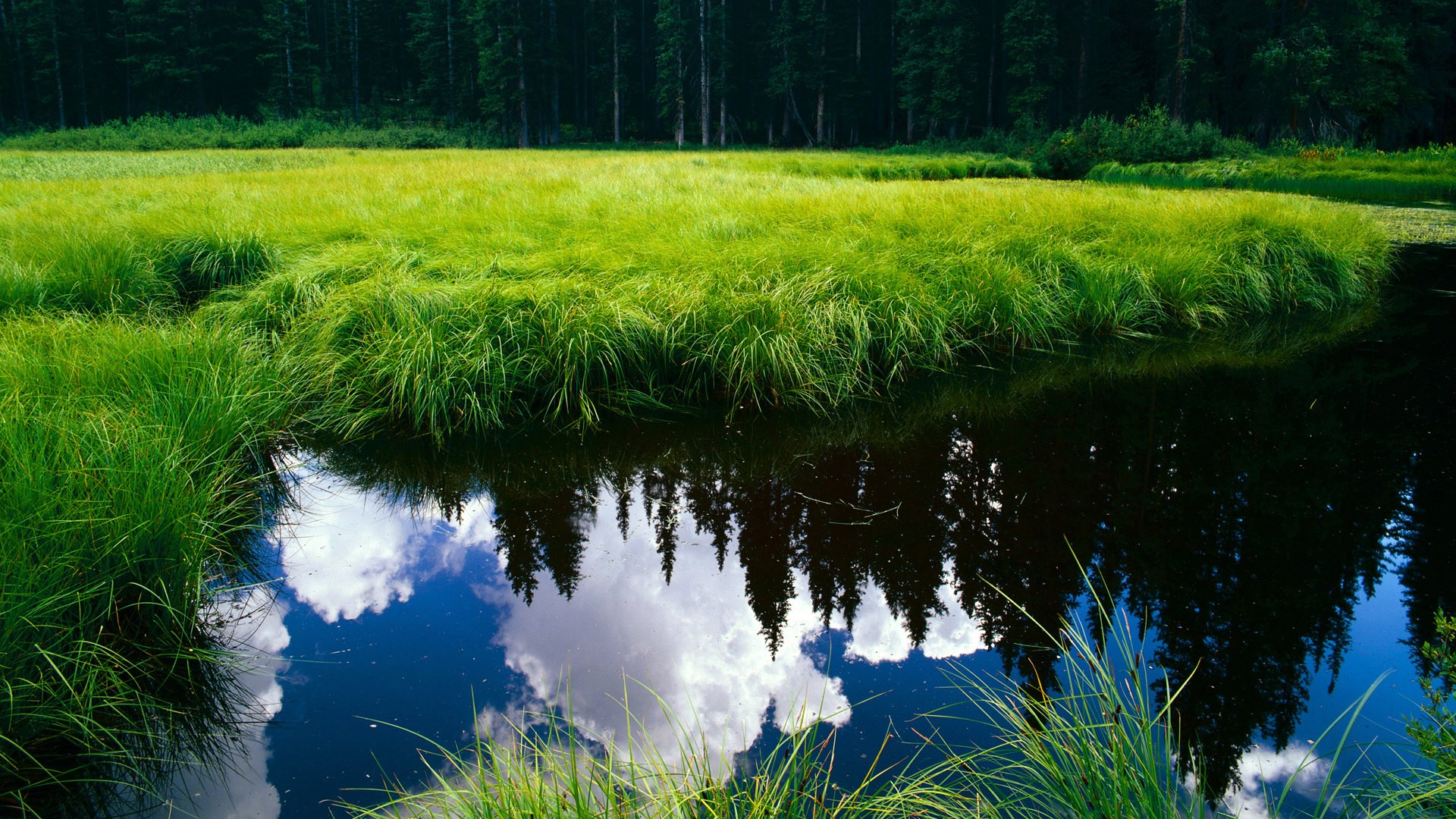 双城记，当枪手窒息式压迫遇上勇士的窒息防守，赢家凭什么都是铁壁？